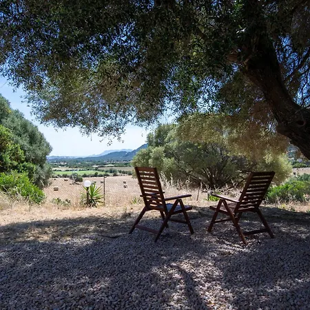 Gli Antichi Olivastri Casa Rosmarino Apartment *