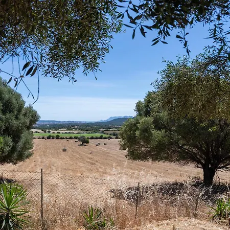 Apartment Gli Antichi Olivastri Casa Rosmarino Olbia